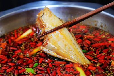 成都郫縣有沒有專業(yè)培訓(xùn)耗兒魚培訓(xùn)學(xué)校？