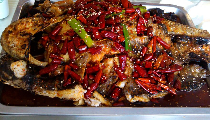 成都烤魚技術(shù)培訓