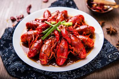 小龍蝦訓(xùn)練哪里滋味好?名師教育，不走彎路