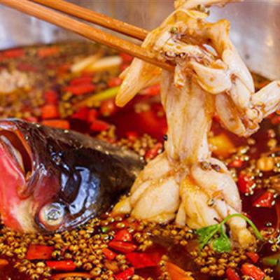 重慶美蛙魚頭火鍋技術(shù)培訓多少錢？