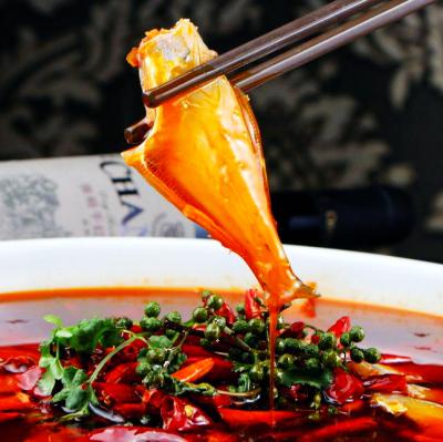 耗兒魚技術(shù)培訓在哪里學？