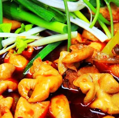 肥腸雞技術培訓要去哪里學？